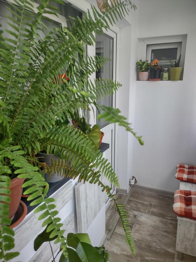 Apartament Piteşti Esterno foto